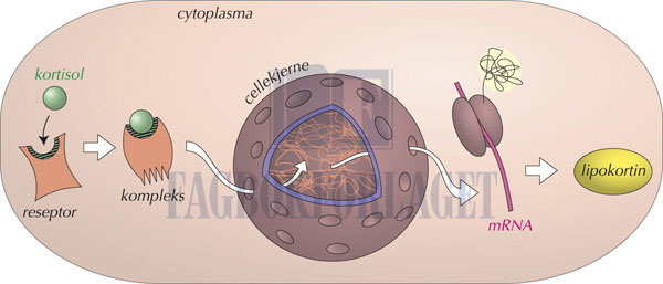 fig12-10.jpg