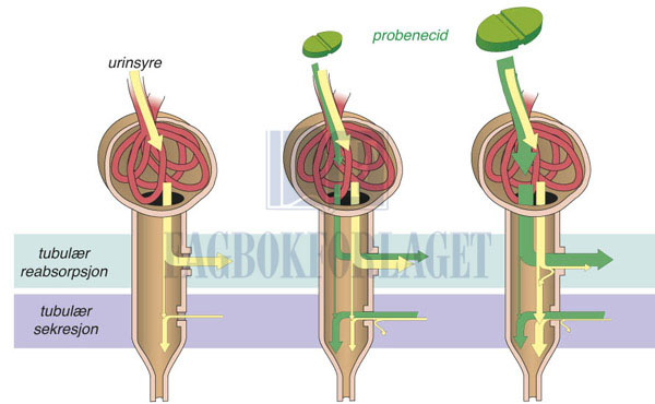 fig7-6.jpg