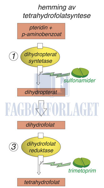 fig5-29.jpg