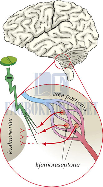 fig10-10.jpg