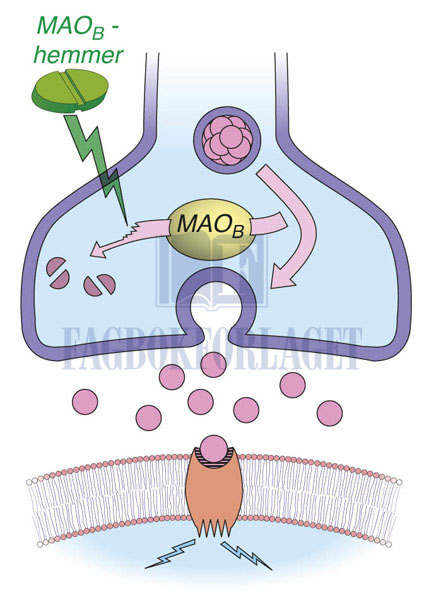 fig2-10.jpg