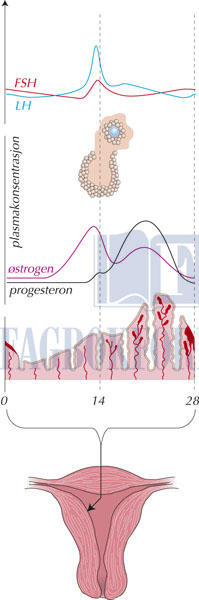 fig12-15.jpg