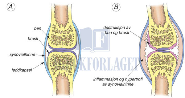 fig7-1.jpg