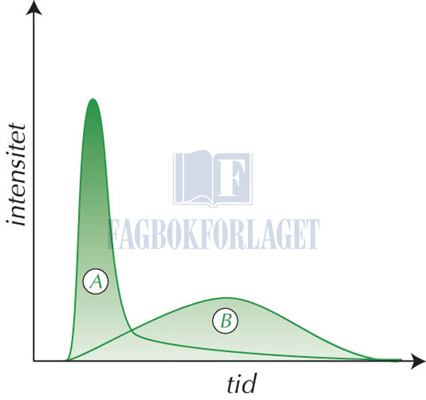 fig3-4.jpg