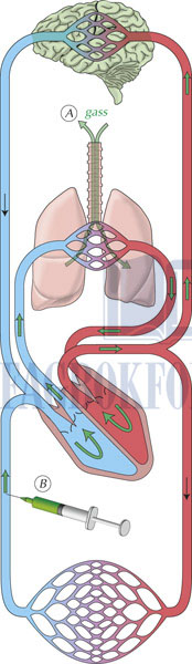 fig15-5.jpg