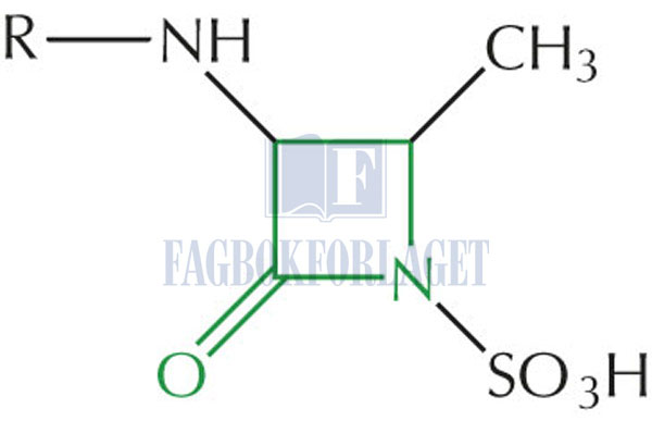 fig5-13.jpg