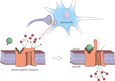 fig-3.6-(5.11).jpg