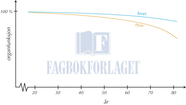 fig12-1.jpg