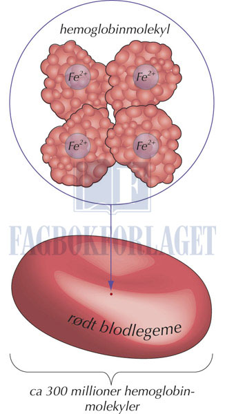 fig11-2.jpg