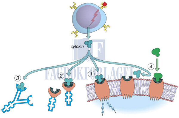 fig6-9.jpg