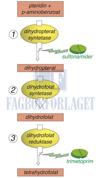 fig5-25.jpg