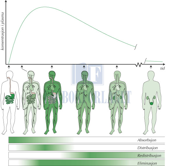 fig4-3.jpg