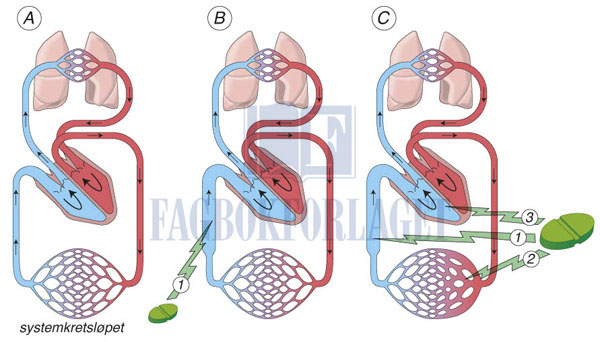 fig8-25.jpg