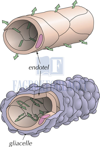 fig4-16.jpg