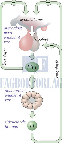 fig12-1.jpg