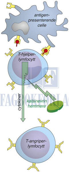 fig6-8.jpg