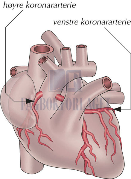 fig8-6.jpg