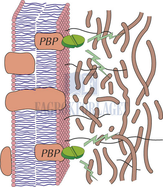 fig5-8 .jpg