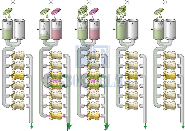 fig4-24.jpg