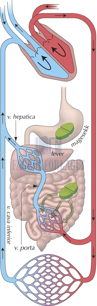 fig4-8.jpg