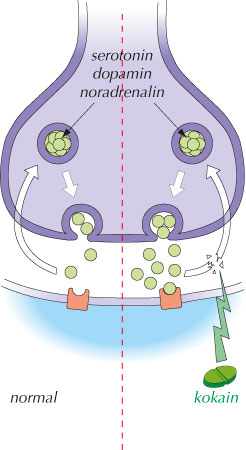 fig-13.2-(15.10).jpg