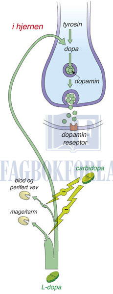 fig2-9.jpg