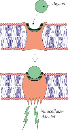 fig-3.5-(5.10).jpg