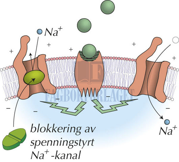 fig2-3.jpg