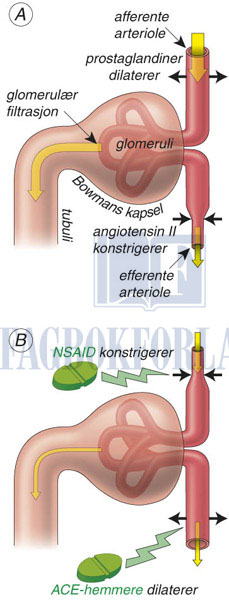 fig8-19.jpg