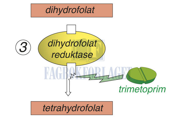 fig5-24.jpg