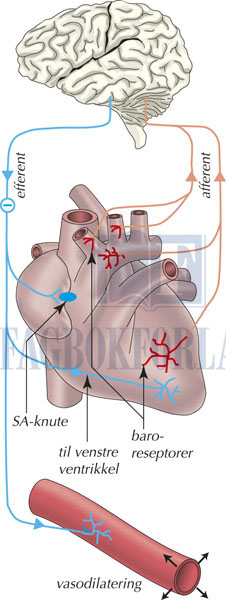 fig8-3.jpg