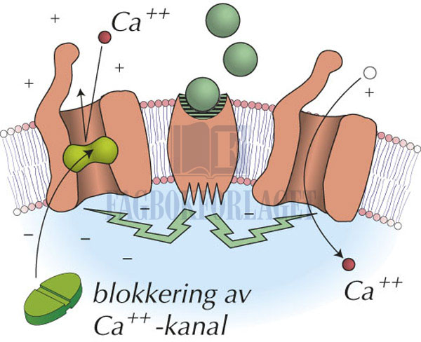 fig2-4.jpg