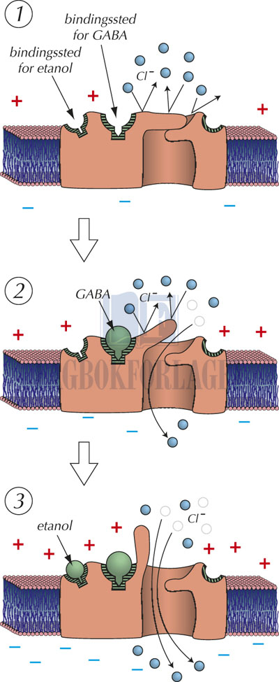 fig13-3.jpg