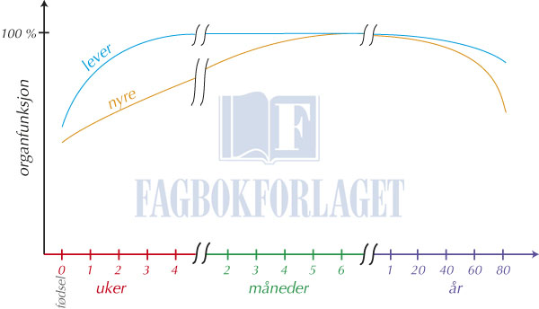 fig6-2.jpg