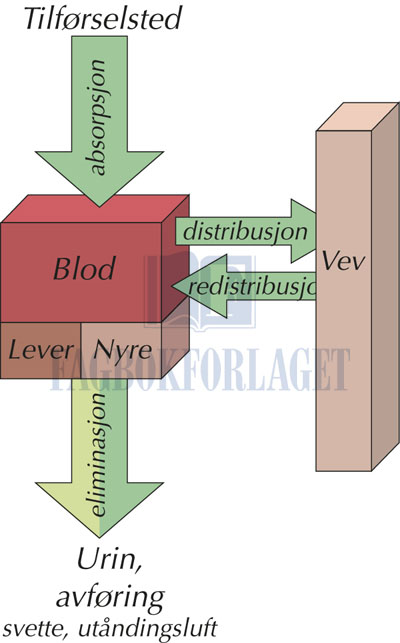 fig4-1.jpg