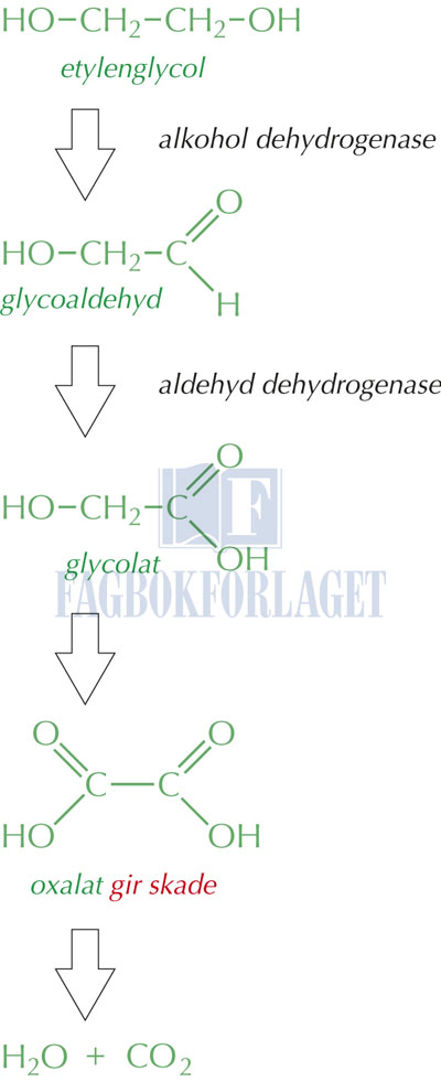 fig14-10.jpg