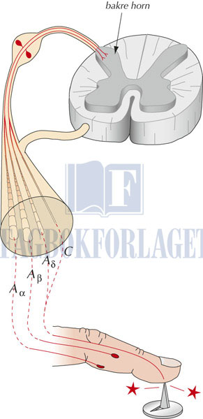 fig4-2.jpg