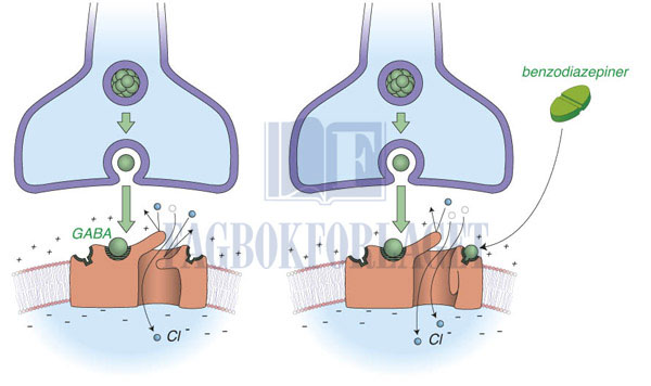 fig3-3.jpg