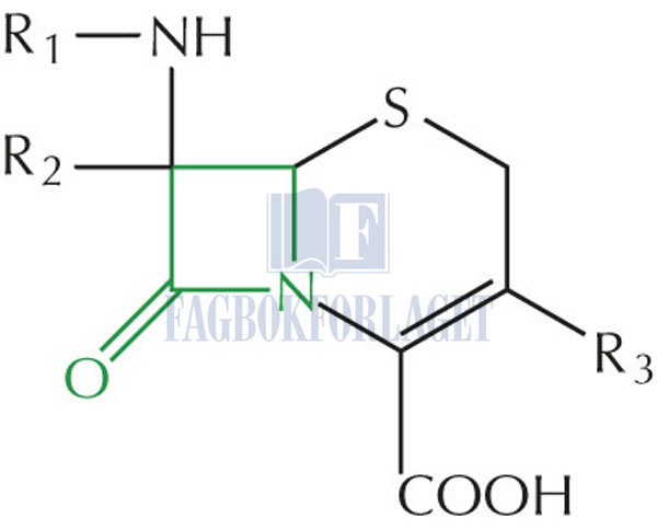 fig5-11.jpg