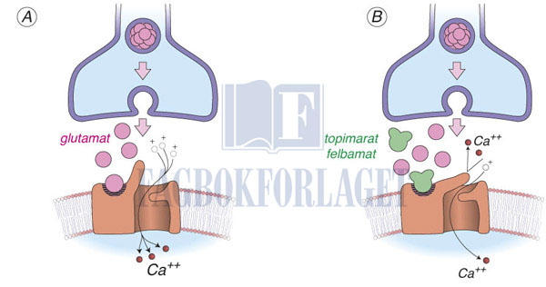 fig2-5.jpg