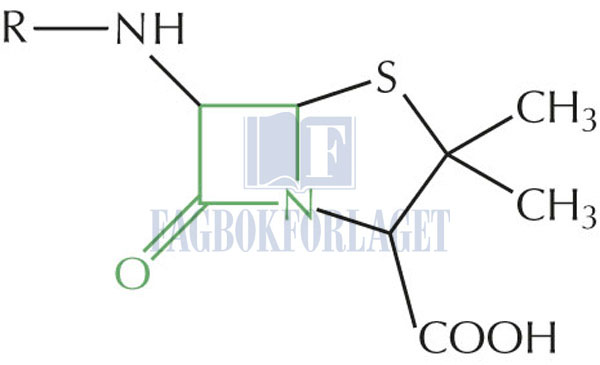 fig5-7.jpg