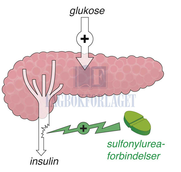 fig12-14.jpg