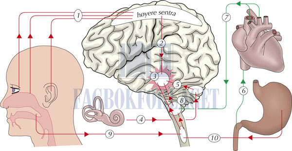 fig10-9.jpg