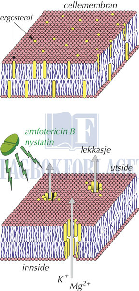 fig5-32.jpg